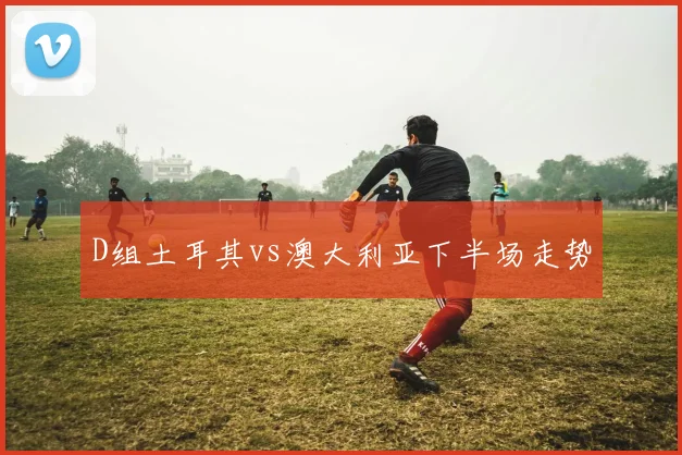 D组土耳其vs澳大利亚下半场走势
