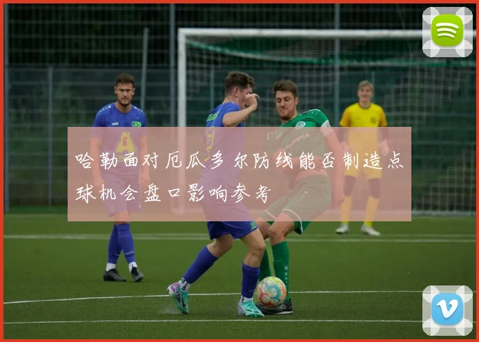 哈勒面对厄瓜多尔防线能否制造点球机会盘口影响参考