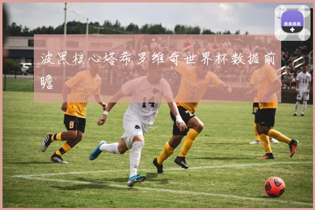 波黑核心塔希罗维奇世界杯数据前瞻