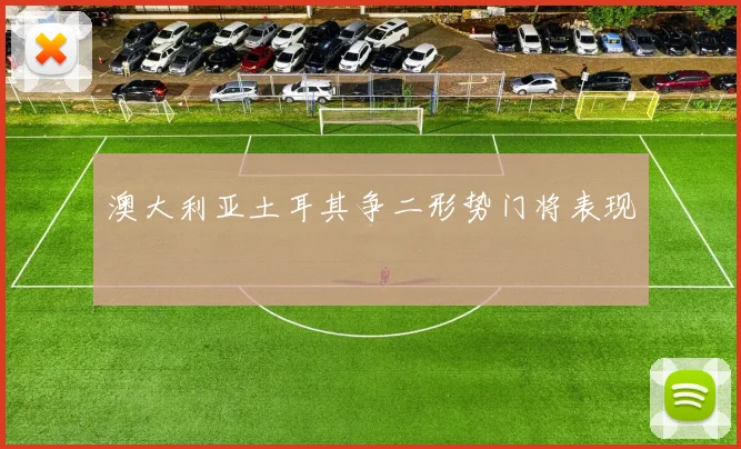 澳大利亚土耳其争二形势门将表现