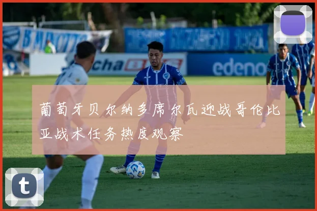 葡萄牙贝尔纳多席尔瓦迎战哥伦比亚战术任务热度观察