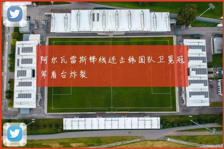 阿尔瓦雷斯锋线连击韩国队卫冕冠军看台炸裂