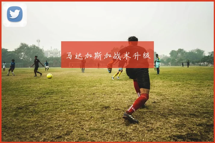 马达加斯加战术升级