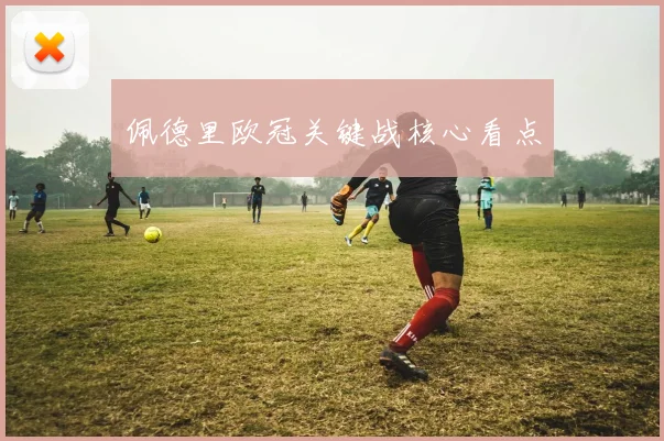 佩德里欧冠关键战核心看点
