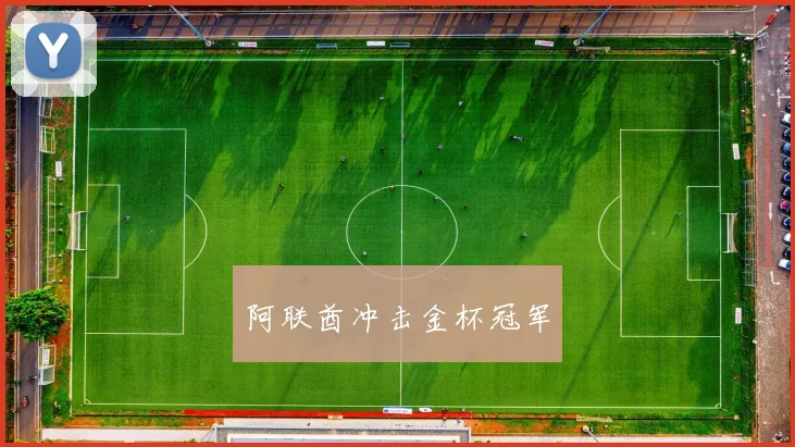 阿联酋冲击金杯冠军