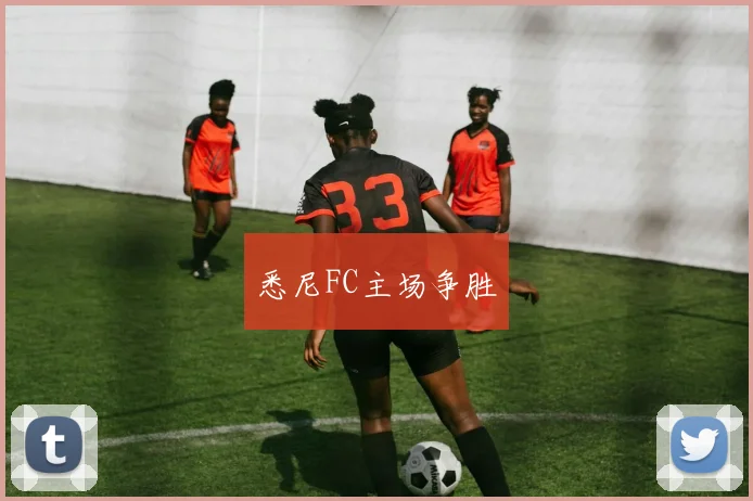 悉尼FC主场争胜