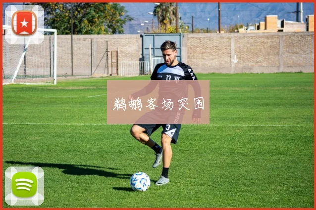 鹈鹕客场突围