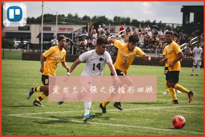 爱尔兰八强之夜精彩回顾