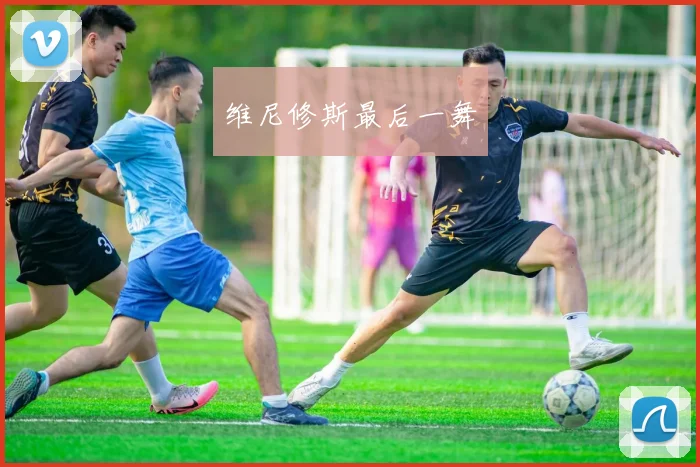 维尼修斯最后一舞