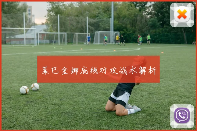 莱巴金娜底线对攻战术解析