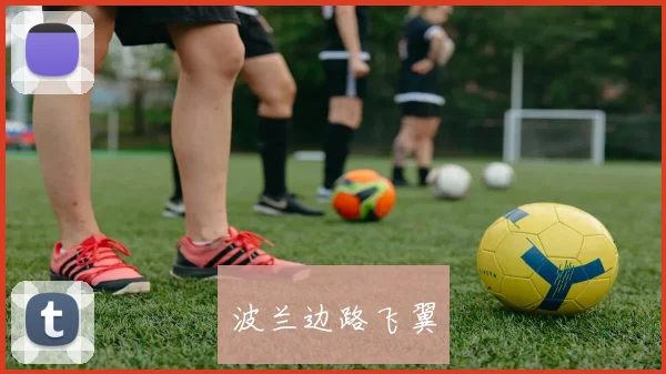 波兰边路飞翼