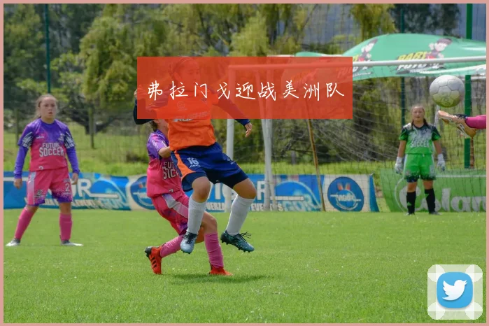 弗拉门戈迎战美洲队