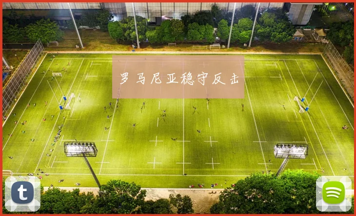 罗马尼亚稳守反击