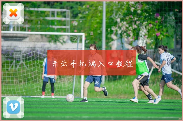开云手机端入口教程