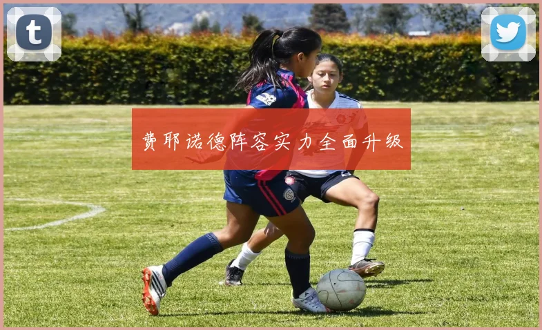 费耶诺德阵容实力全面升级