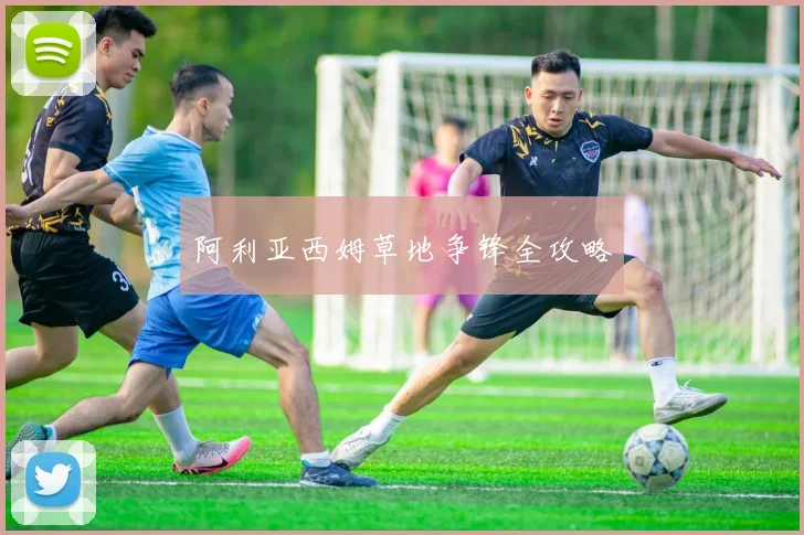 阿利亚西姆草地争锋全攻略