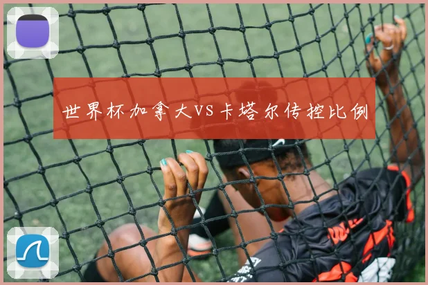 世界杯加拿大vs卡塔尔传控比例