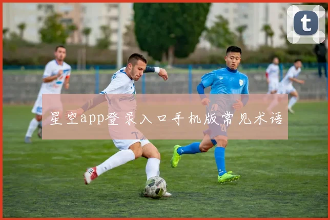 星空app登录入口手机版常见术语