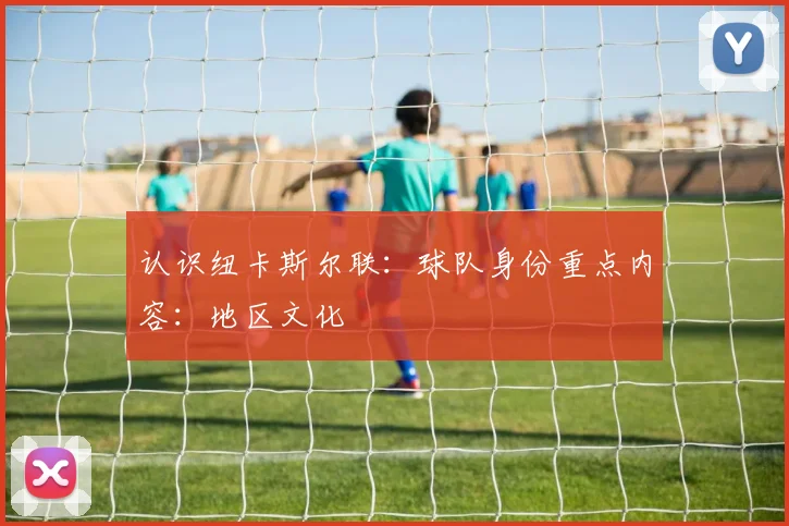 认识纽卡斯尔联：球队身份重点内容：地区文化