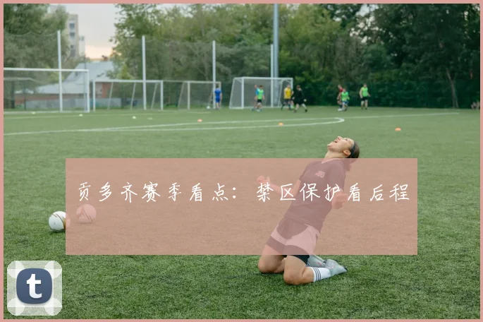 贡多齐赛季看点:禁区保护看后程