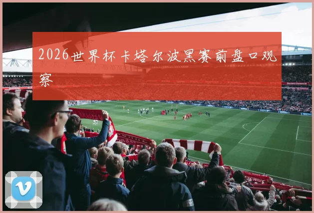 2026世界杯卡塔尔波黑赛前盘口观察