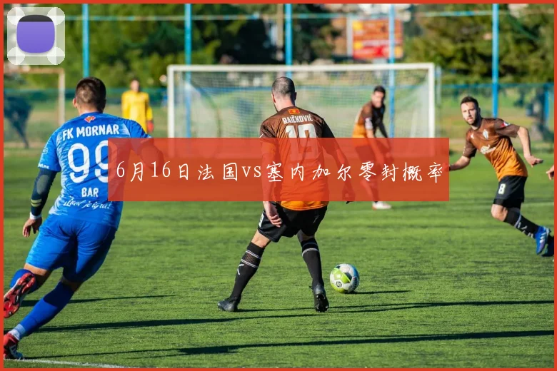 6月16日法国vs塞内加尔零封概率