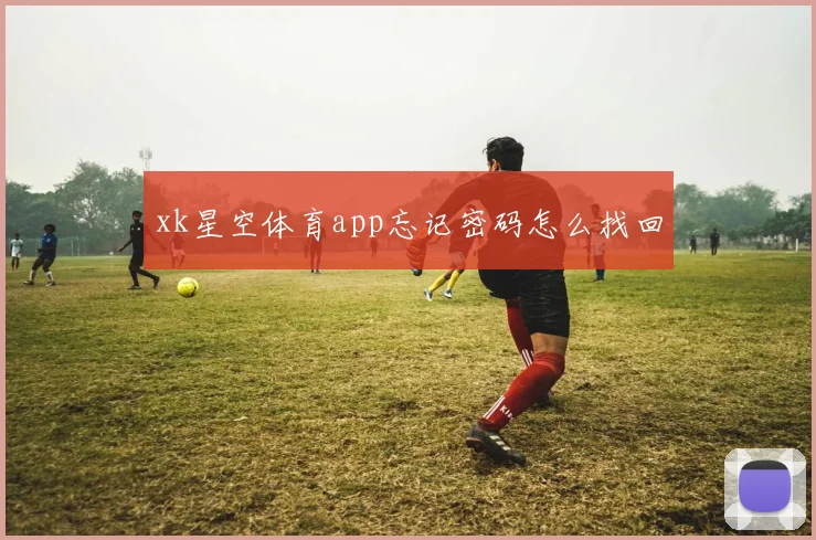 xk星空体育app忘记密码怎么找回
